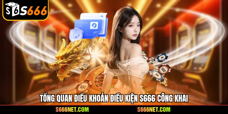 Tổng quan điều khoản điều kiện S666 công khai